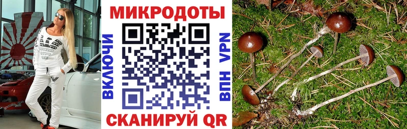 Псилоцибиновые грибы GOLDEN TEACHER  Купить закладки  Боготол 